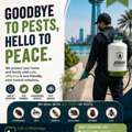 🚫 Termite & Bed Bug Treatment Specialists