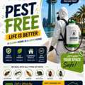✨ Affordable Pest Control With Guaranteed Results