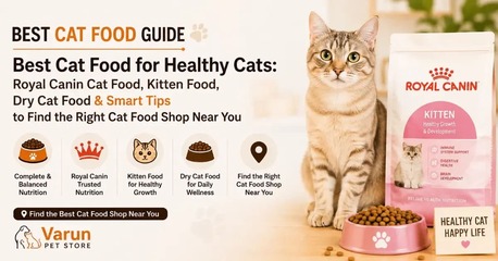 New Delhi, Food Delivery, Cat Food Shop In Burari Delhi Online | Varun Pet Store