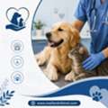Get Best Compassionate Care Pet Hospital In Coquitlam