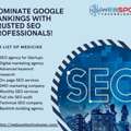 Dominate Google Rankings With Trusted SEO Professionals!