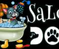 Professional Dog And Cat Grooming In Nederland, TX