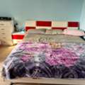 Furnished,  2 BR,  2BHK Fully Furnished Flat