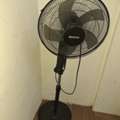 SAR 80,  Krypton Stand  Fan For Sale
