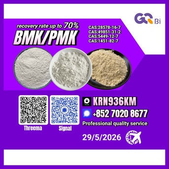 Tirana, Books, ALL 100,  BMK/PMK CAS:28578-16-7//CAS:49851-31-2-Extraction Rate Up To 70%