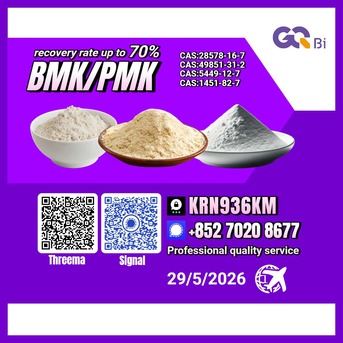 Tirana, Books, ALL 100,  BMK/PMK CAS:28578-16-7//CAS:5449-12-- Extraction Rate Up To 70%