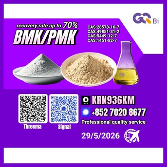 Algiers, Books, DZD 100,  BMK/PMK Extraction Rate Up To 70%-CAS:28578-16-7//CAS:5449-12-7