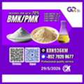 DZD 100,  BMK/PMK Extraction Rate Up To 70%-CAS:28578-16-7//CAS:5449-12-7