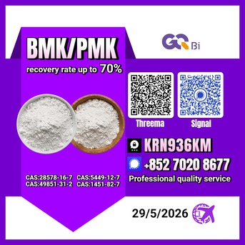 Yerevan, Books, AMD 100,  BMK/PMK Extraction Rate Up To 70%-CAS:28578-16-7//CAS:5449-12-7