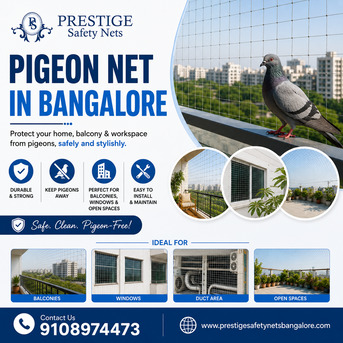 Bangalore, Security, Best Pigeon Net In Bangalore For Complete Bird Protection At Home