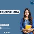 Corporate Governance And Efficiency Rules With An Executive MBA