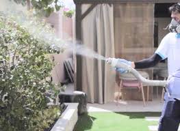 Dubai, Business, Searching For Effective Mosquito Pest Control In Dubai With Al Falak?