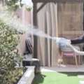 Searching For Effective Mosquito Pest Control In Dubai With Al Falak?