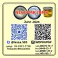 CNY 100,  Cas 5449-12-7 BMK  Glycidic Acid Sodium Salt  Powder  Yellow High Yield  28578-16-7 PMK