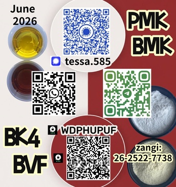 Hong Kong, Materials, CNY 100,  Cas 5449-12-7 BMK  Glycidic Acid Sodium Salt  Powder  Yellow High Yield  28578-16-7 PMK