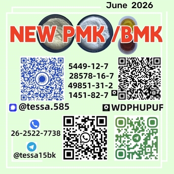 Hong Kong, Businesses For Sale, CAS 5449-12-7  BMK Glycidic Acid Sodium Salt  Powder 99% High Purity 28578-16-7 PMK   Fast