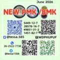 CAS 5449-12-7 BMK Glycidic Acid Sodium Salt Powder 99% High Purity 28578-16-7 PMK Fast