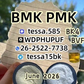 Hong Kong, Businesses For Sale, CAS 5449-12-7  BMK Glycidic Acid Sodium Salt  Powder 99% High Purity 28578-16-7 PMK   Fast