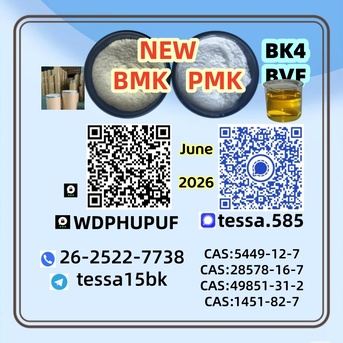 Hong Kong, Businesses For Sale, CAS 5449-12-7  BMK Glycidic Acid Sodium Salt  Powder 99% High Purity 28578-16-7 PMK   Fast