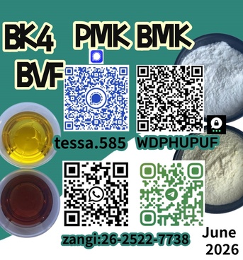 Hong Kong, Businesses For Sale, CAS 5449-12-7  BMK Glycidic Acid Sodium Salt  Powder 99% High Purity 28578-16-7 PMK   Fast