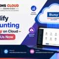Simplify Accounting With Busy On Cloud &ndash; Contact Us Now
