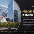 INR 30000,  Property Dealer In Mohali | Estate Guardians