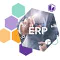 Professional ECommerce For Business Central