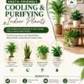 Vastu-Friendly Indoor Trees: Air Purifying Plants & Vastu Plants For Home To Create A Cool