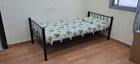 Manama, Rooms for Rent, BHD 60/month,  Bed Space Available Semi Furnished-BHD 60 / Per Month Incl. EWA For Executive Bachelors