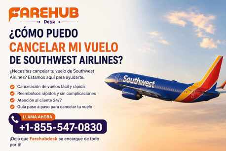 New York, Travel, ¿Cómo Puedo Cancelar Mi Vuelo De Southwest Airlines?