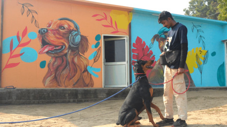 New Delhi, Pet Sitting, Best Dog Training In Delhi For Obedience, Discipline, And Lasting Results