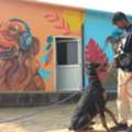 Best Dog Training In Delhi For Obedience, Discipline, And Lasting Results