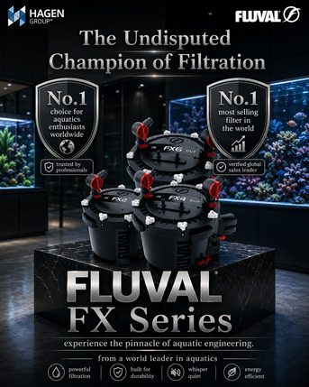 Mumbai, Pet Supplies, Premium Fluval FX Filters & Accessories At PetsHeart