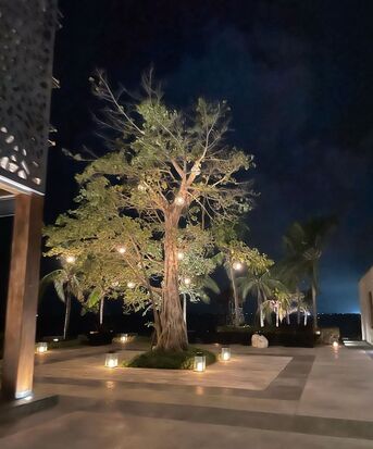 Miami, Business, Landscape Lighting Miami Dade