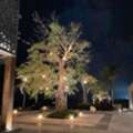 Landscape Lighting Miami Dade