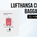 How Much Lufthansa Checked Baggage Costs +1-(866)-673-8391