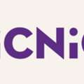 Picnic Designs