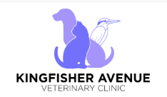 Cape Town, Health, Kingfisher Avenue Veterinary Clinic