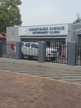 Cape Town, Health, Kingfisher Avenue Veterinary Clinic