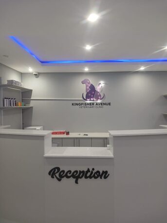 Cape Town, Health, Kingfisher Avenue Veterinary Clinic
