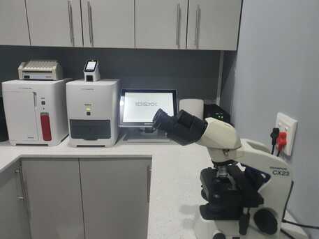 Cape Town, Health, Kingfisher Avenue Veterinary Clinic