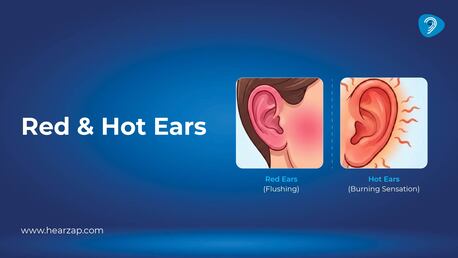Hyderabad, Health & Beauty Items, INR 30000,  Human Ear Frequency & Hearing Range Test | Hearzap