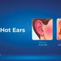 INR 30000,  Human Ear Frequency & Hearing Range Test | Hearzap