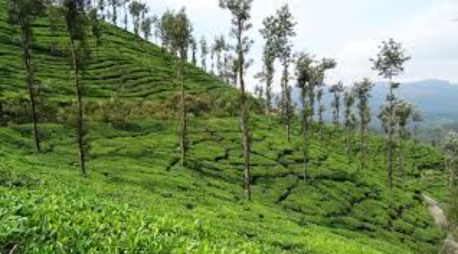 New Delhi, Travel, 7 Days Kerala Houseboat Tour Package &ndash; Explore Backwaters Of Kerala