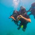 Fun Diving In The Andamans Best Diving In Havelock
