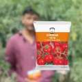 Shriram 1616 Tomato Seeds &ndash; High Yield Hybrid Variety