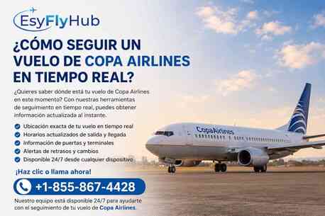 New York, Travel, ¿Cómo Seguir Un Vuelo De Copa Airlines En Tiempo Real?