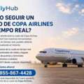 ¿Cómo Seguir Un Vuelo De Copa Airlines En Tiempo Real?