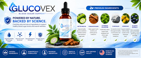 Abu Dhabi, Items Wanted, GlucoVex Drops Reviews 2026: Does It Really Work For Blood Sugar?