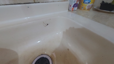 Al Izdihar, Furniture, SAR 1000,  Clean Kitchen